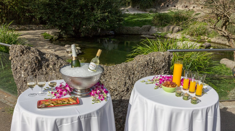 Apéro im Zoo Zürich