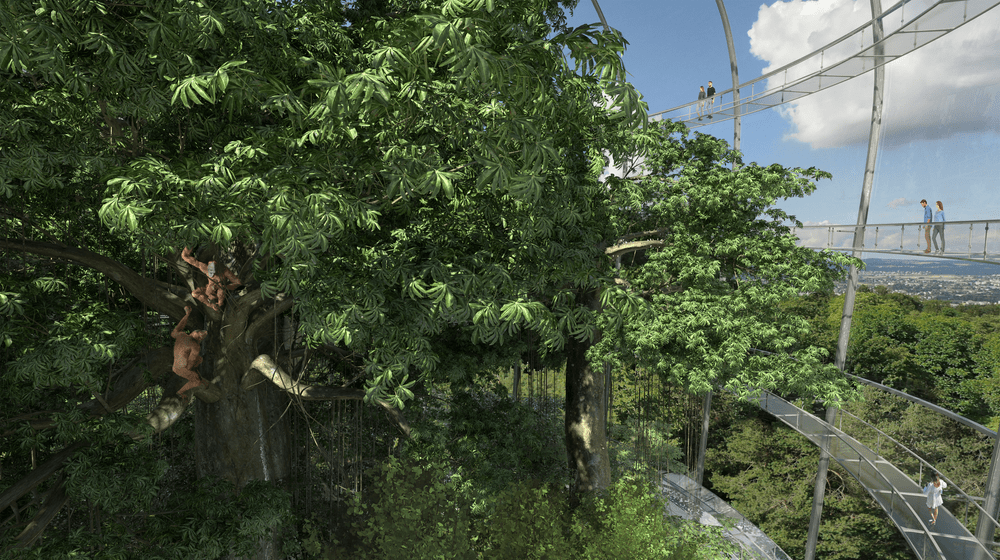 Rendering des Sumatra Regenwald im Zoo Zürich