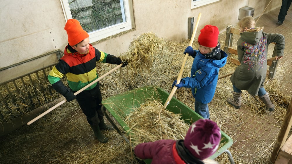 Projektwoche Kinder/Schüler im Zoo Zürich