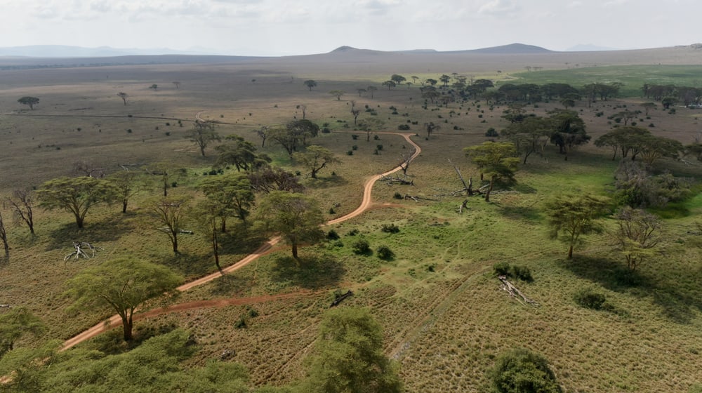 Lewa Wildlife Conservancy aus der Luft. 