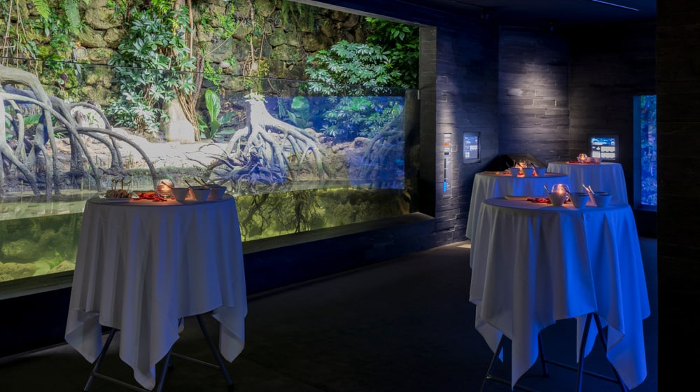 Aquarium im Zoo Zürich