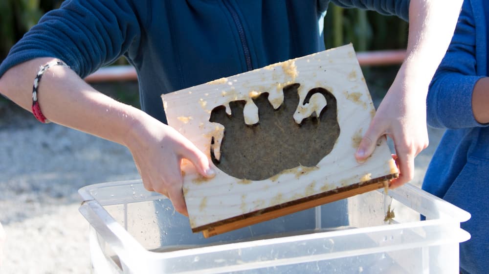 Elefantenpapier-Workshop im Zoo Zürich
