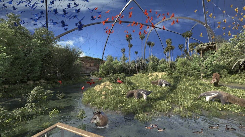 Rendering der geplanten Pantanal Voliere im Zoo Zürich, Blick auf die Sumpflandschaft.