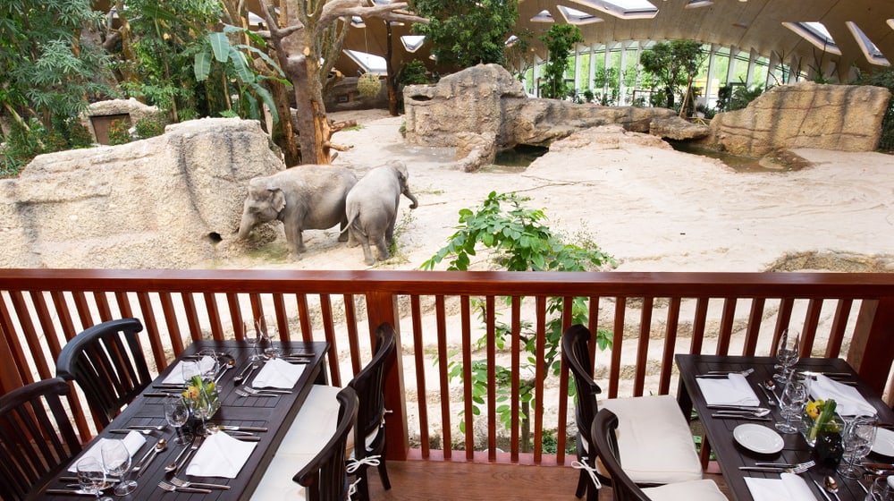 Thailodge im Kaeng Krachan Elefantenpark im Zoo Zürich
