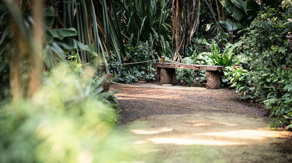 Leere Bank im Masoala Regenwald des Zoo Zürich