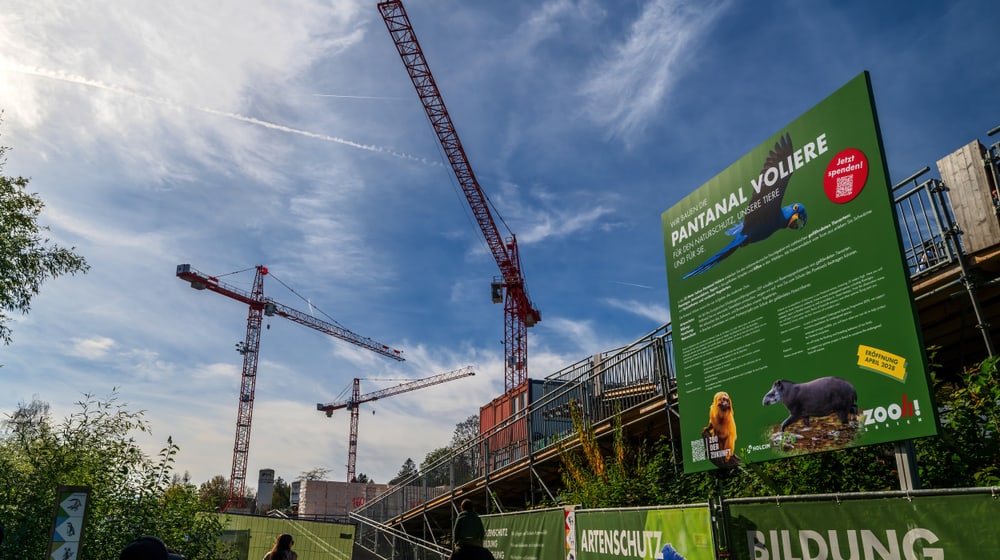 Blick auf die Baustelle für die Pantanal Voliere im Zoo Zürich im Oktober 2024.