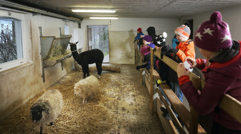 Projektwoche Kinder/Schüler im Zoo Zürich