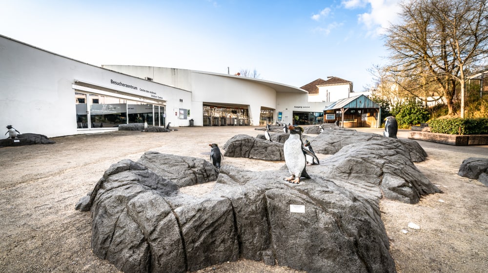 Zoo Zürich im März 2020, für die Besucher aufgrund der Covid-19-Pandemie geschlossen.
