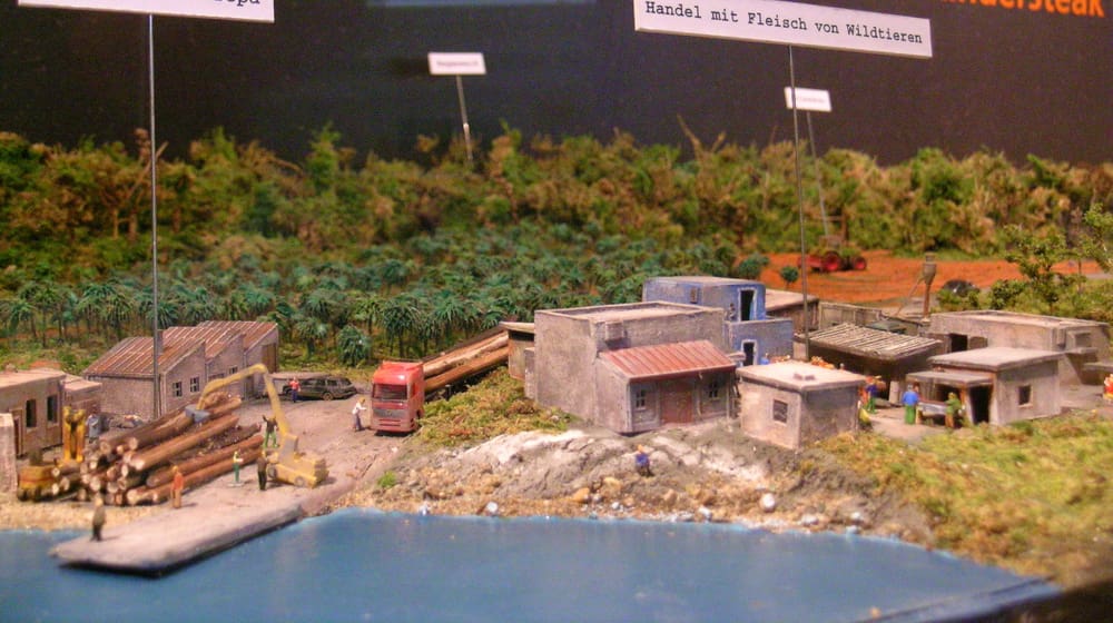 Ausstellung Shopping für den Regenwald bei den Menschenaffen