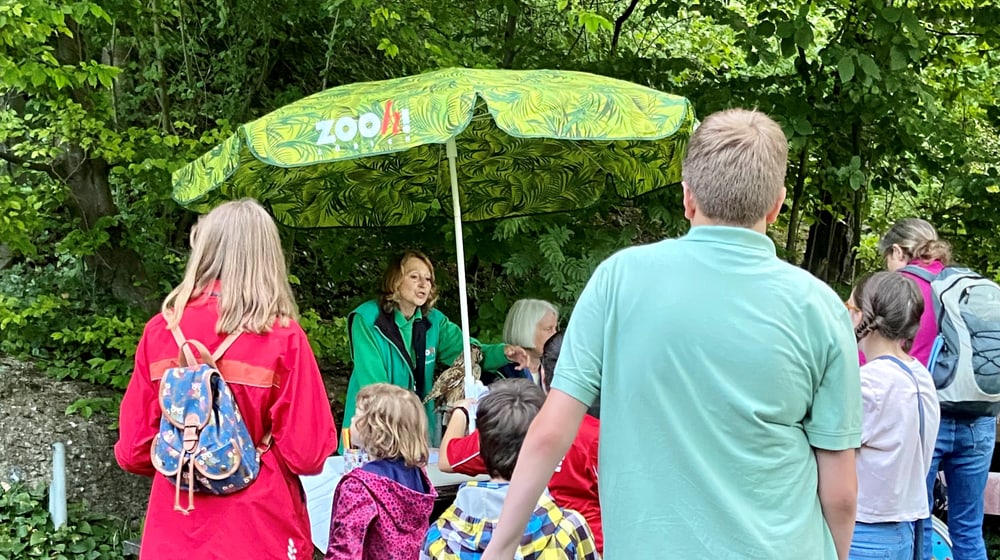 Dreamnight at the Zoo im Zoo Zürich im Juni 2022.