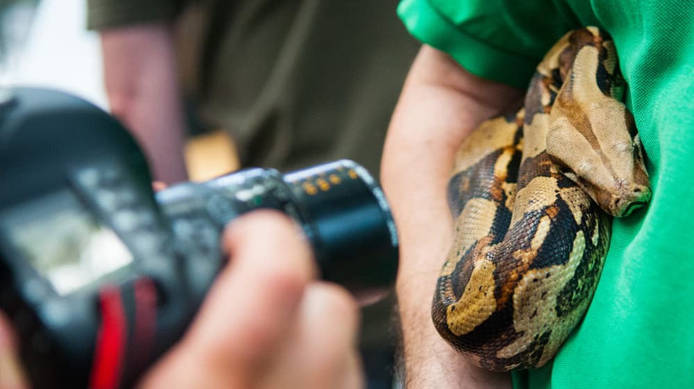 Fotografieren im Zoo Zürich
