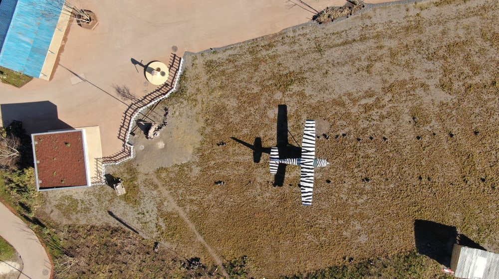Lewa Airstrip in der Lewa Savanne im Zoo Zürich.
