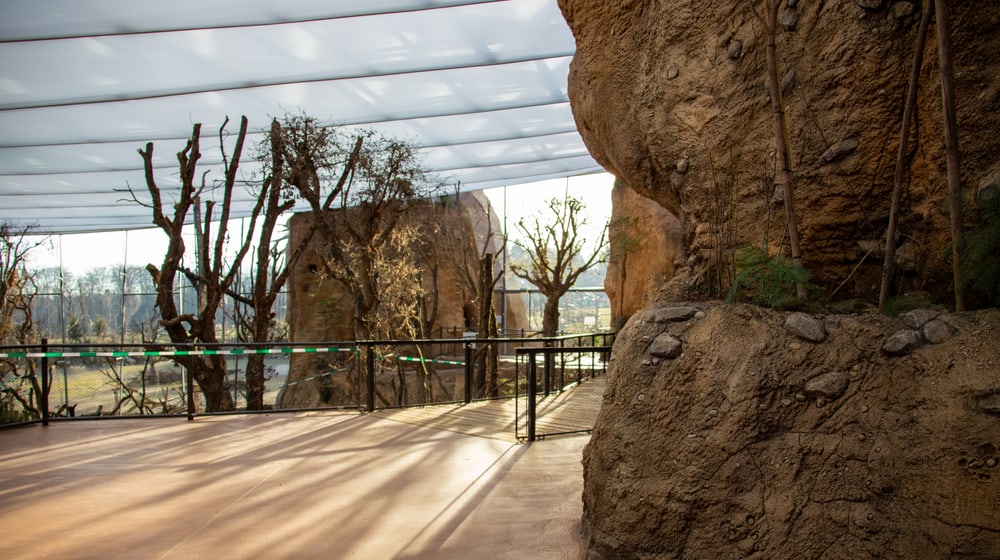 Blick in den oberen Stock des Lewa Giraffenhauses.