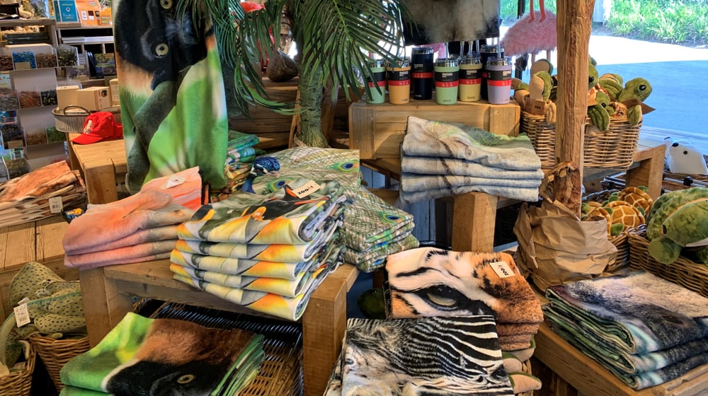 Promotionstisch «Strandtücher» in den Zooshops vom Juni 2023.