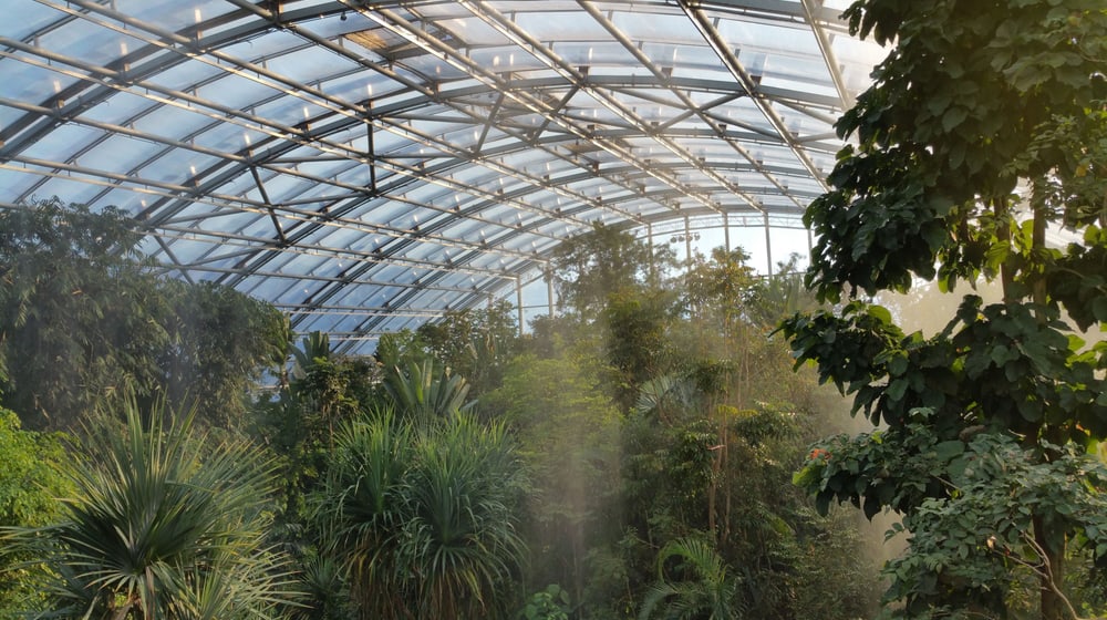 Beregnung im Masoala Regenwald