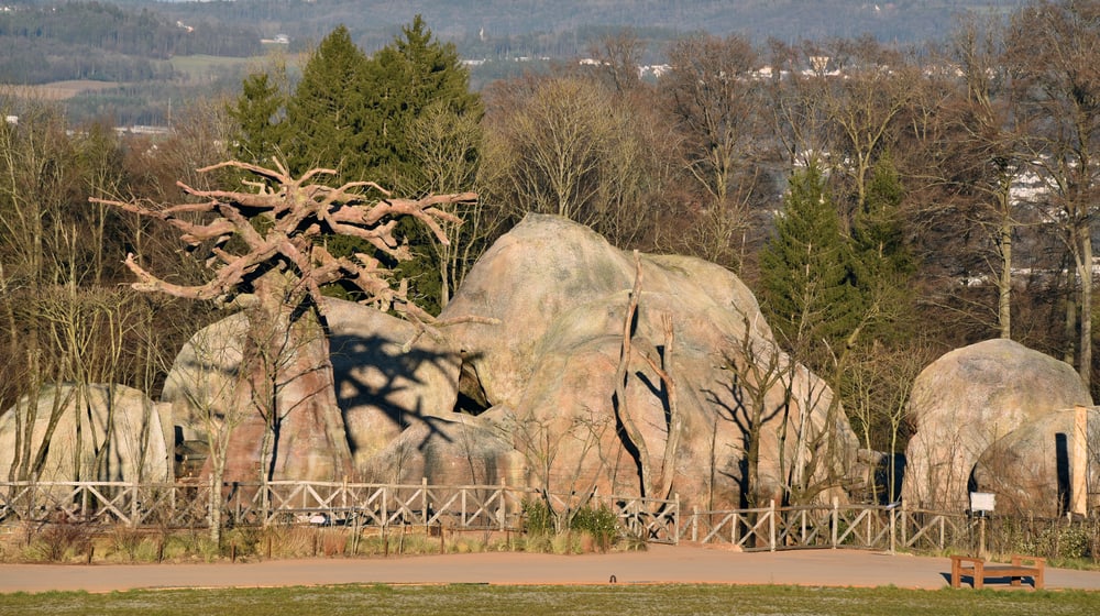 Kopjefelsen in der Lewa Savanne im Zoo Zürich.