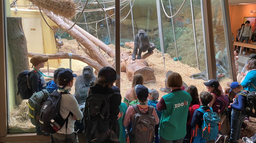 KInder-Zoonachmittag des Freiwilligenteams FTZ im Zoo Zürich.