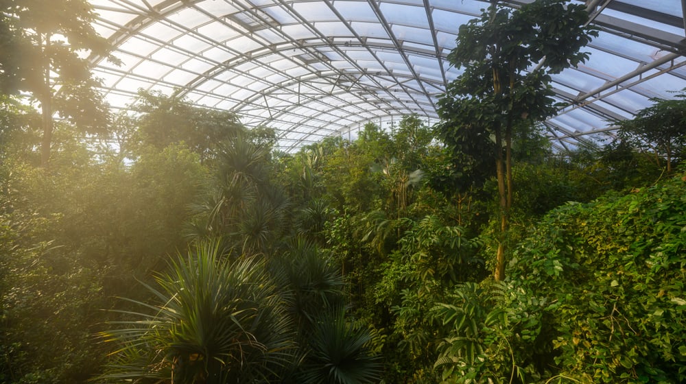 Masoala Regenwald im Zoo Zürich.
