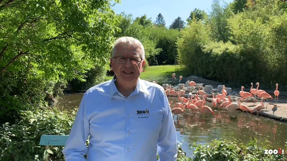 Dr. Alex Rübel 2020 Videobotschaft