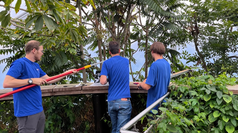 Forschungsteam ETH BiodivX bei Tests im Masoala Regenwald des Zoo Zürich.