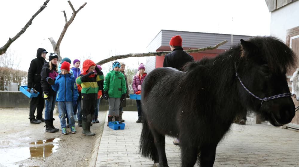 Projektwoche Kinder/Schüler im Zoo Zürich
