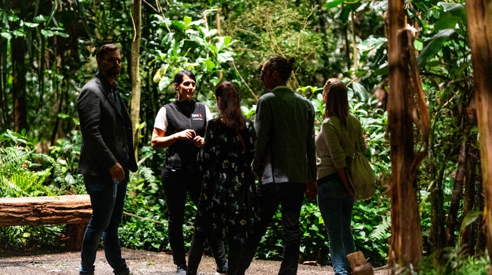 Gruppe bei einer Führung im nächtlichen Masoala Regenwald des Zoo Zürich.