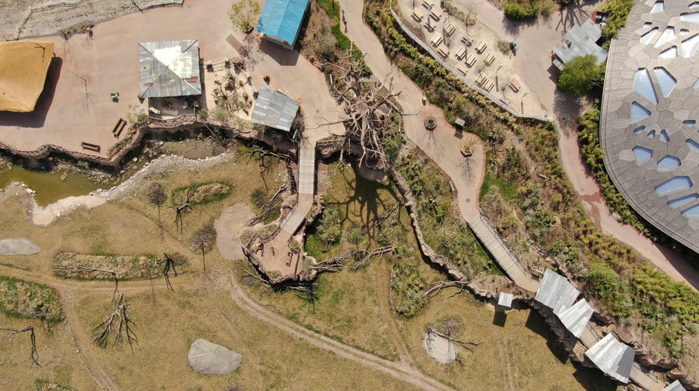 Lewa Dorf im Zoo Zürich aus der Luft