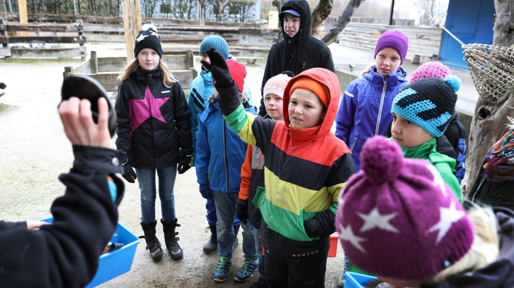 Kinderferienwoche im Zoo, Workshop Tierhaltung, 2016.