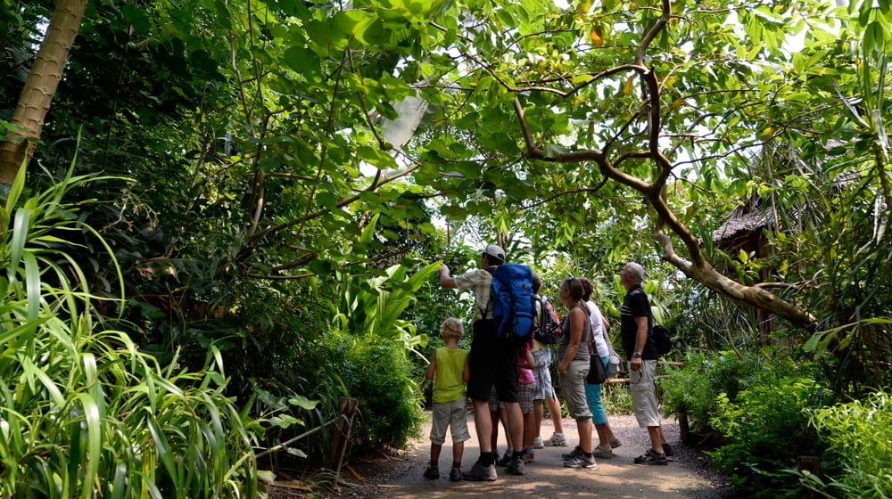 Besucher im Masoala Regenwald im Zoo Zürich
