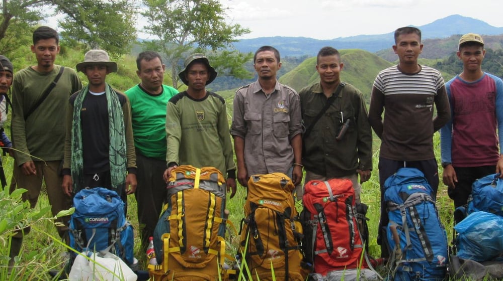 Wiederansiedlung Orang-Utans in Sumatra
