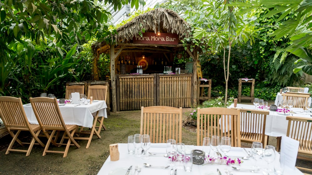 Mora-Mora Bar im Zoo Zürich