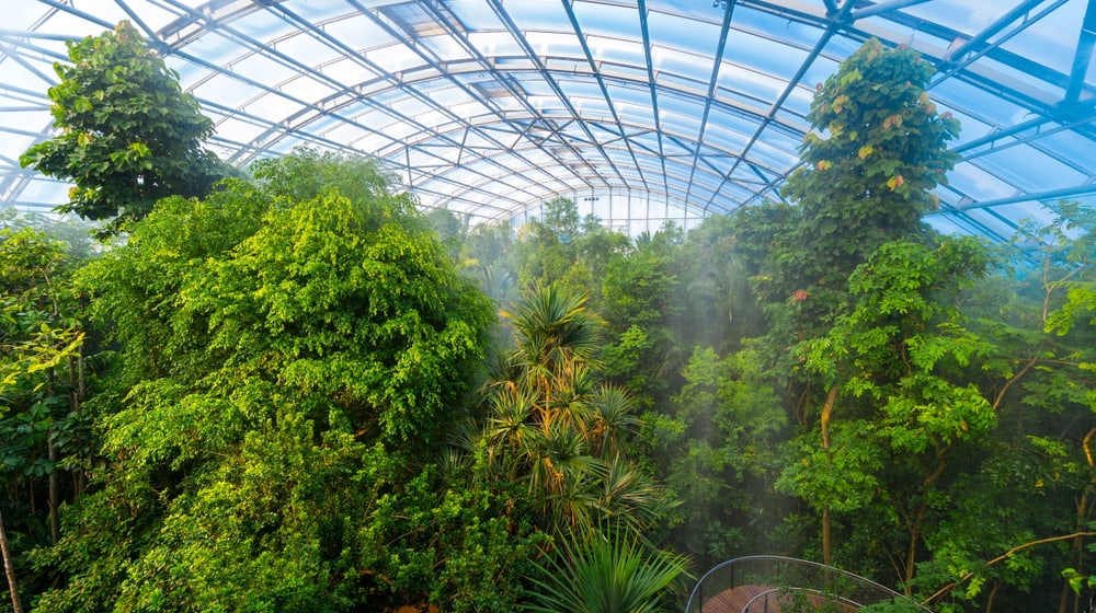 Masoala Regenwald im Zoo Zürich