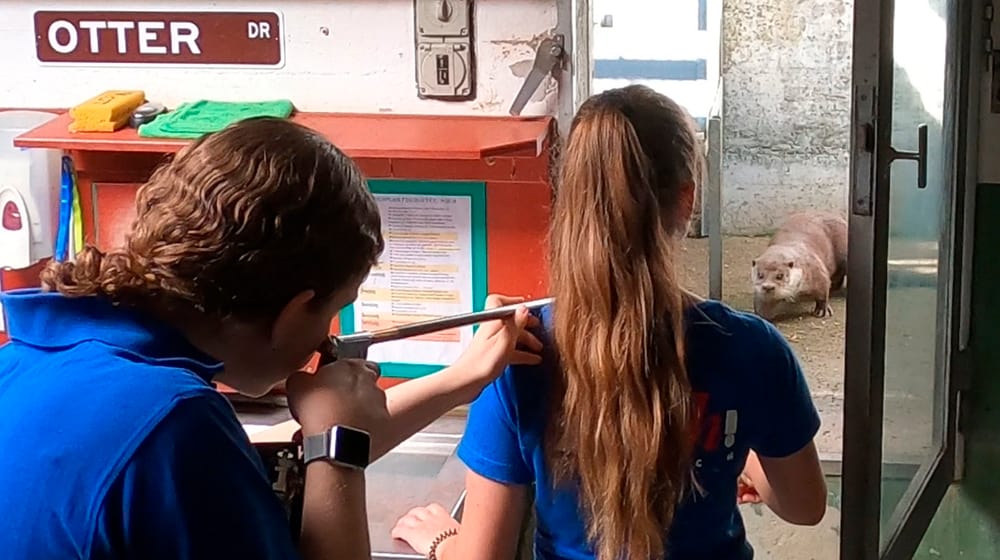 Tierärztin Patricia Kunze (l.) und Tierpflegerin Angela Perin de Iaco narkotisieren das Fischotter-Weibchen Lulu per Blasrohr.