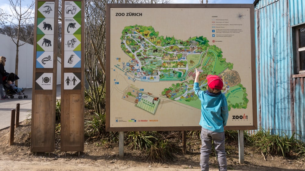 Grosse Tafel des Zooplans mit kleinem Knaben davor.