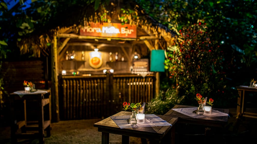 Event Masoala by Night im Masoala Regenwald des Zoo Zürich.