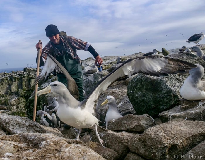 Thomas Mattern, Junior Conservation Fellow im Naturschutzprojekt Antarctic Research.