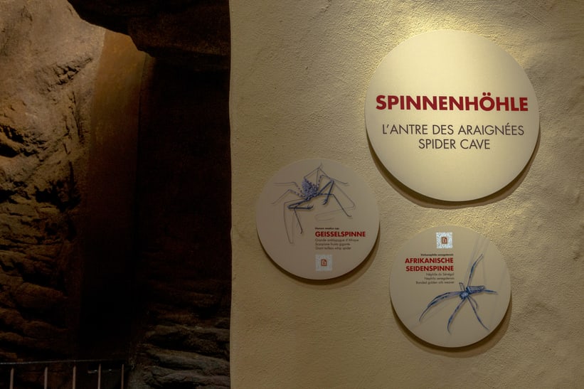 Eingang zur Spinnenhöhle im Insektenwald des Zoo Zürich, März 2025