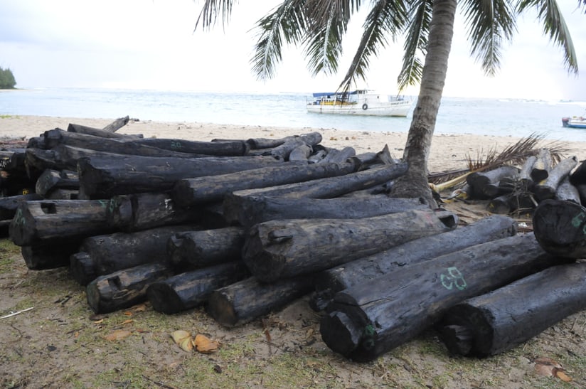 Illegal geschlagenes Rosenholz bereit zum Transport auf Madagaskar.
