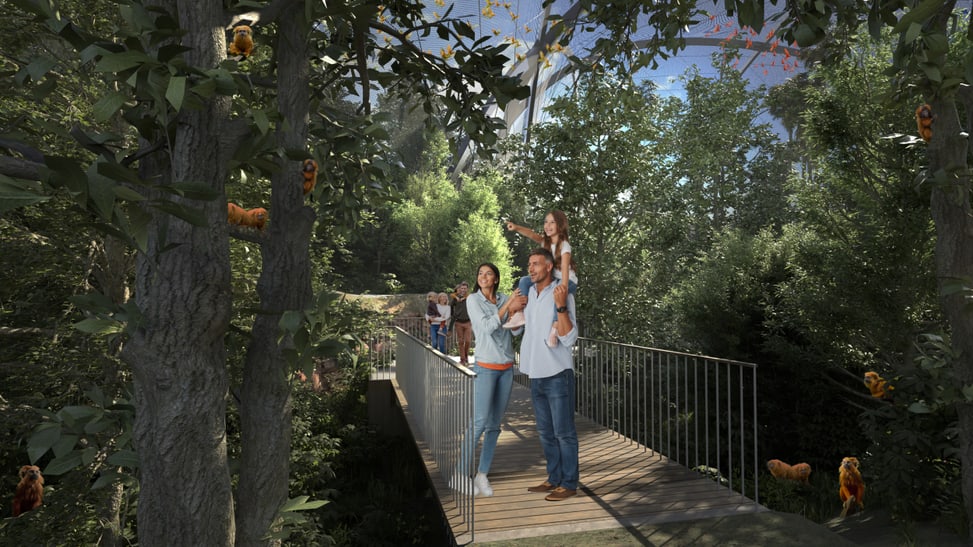 Rendering der geplanten Pantanal Voliere im Zoo Zürich, Blick auf Waldweg.