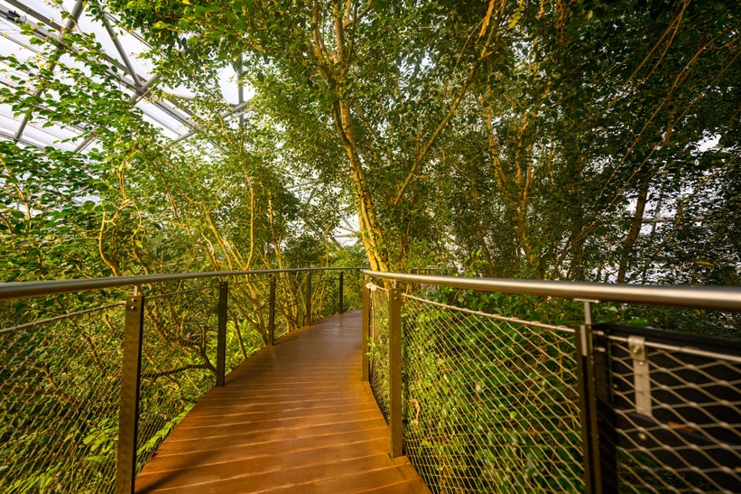 Masoala Regenwald im Zoo Zürich im Februar 2023.