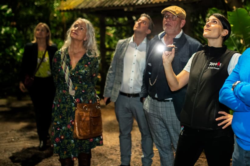 Event Masoala by Night im Masoala Regenwald des Zoo Zürich.