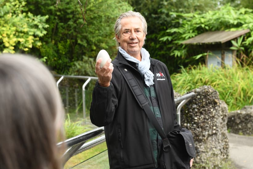 Zooführer Martin Bucher zeigt die Nachbildung eines Pinguineis