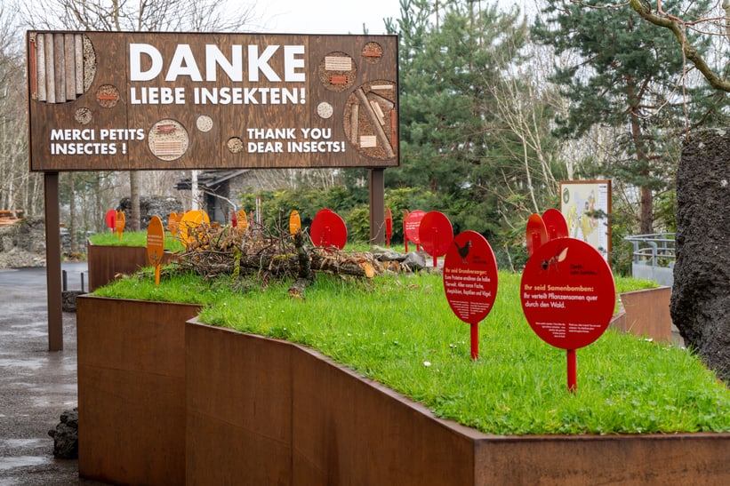 Aufnahme vom Aussenbereich des Insektenwalds im Zoo Zürich.