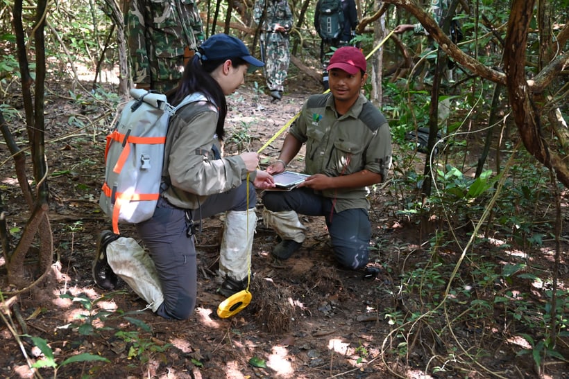 Conservation Fellow Apinya Saisamorn, Site Manager im Kaeng Krachan Nationalpark in Thailand, im Einsatz.