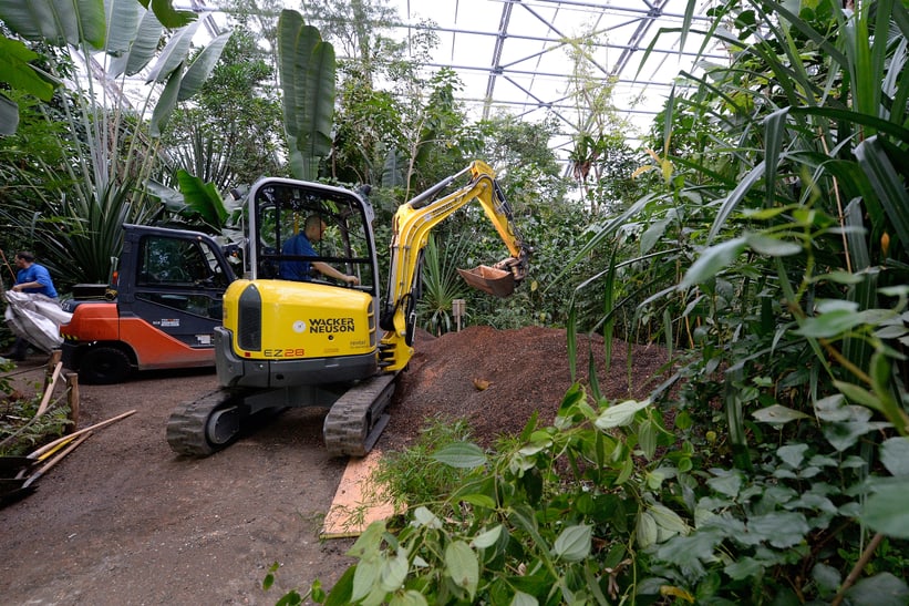 Baustelle im Masoala Regenwald anlässlich des Bau des Baumkronen-Wegs.