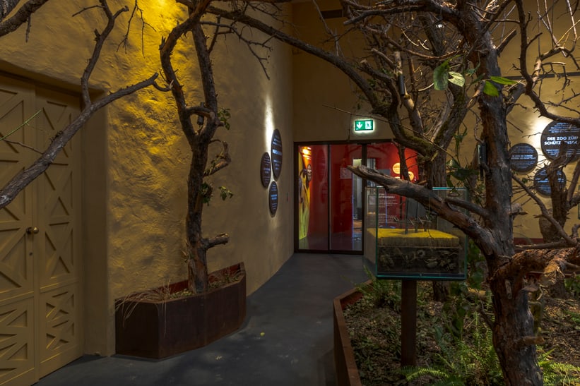 Blick in den Insektenwald im Zoo Zürich, März 2025.