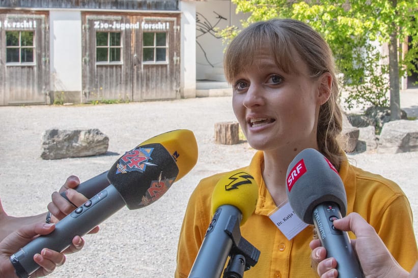 Conservation Fellow Katja Schönbächler von der Stiftung Fledermausschutz bei einem Medientermin.