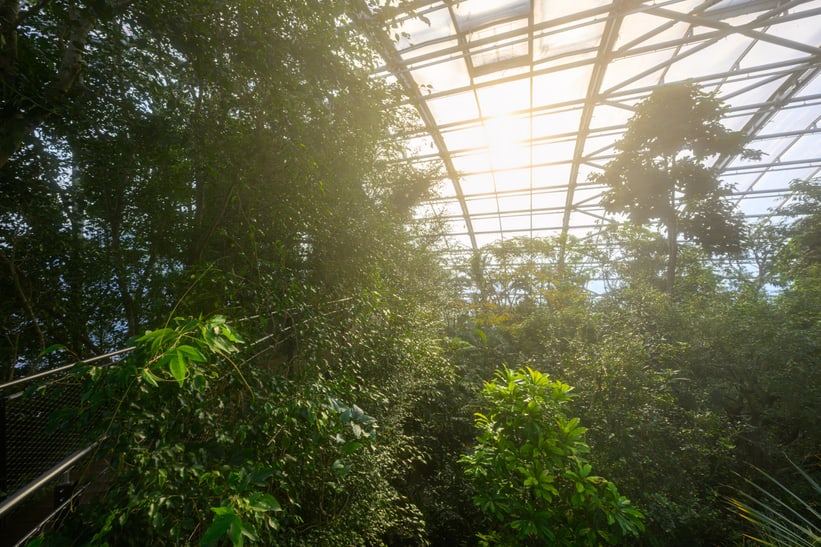 Masoala Regenwald im Zoo Zürich im Februar 2023.