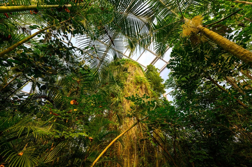 Masoala Regenwald im Zoo Zürich im Februar 2023.
