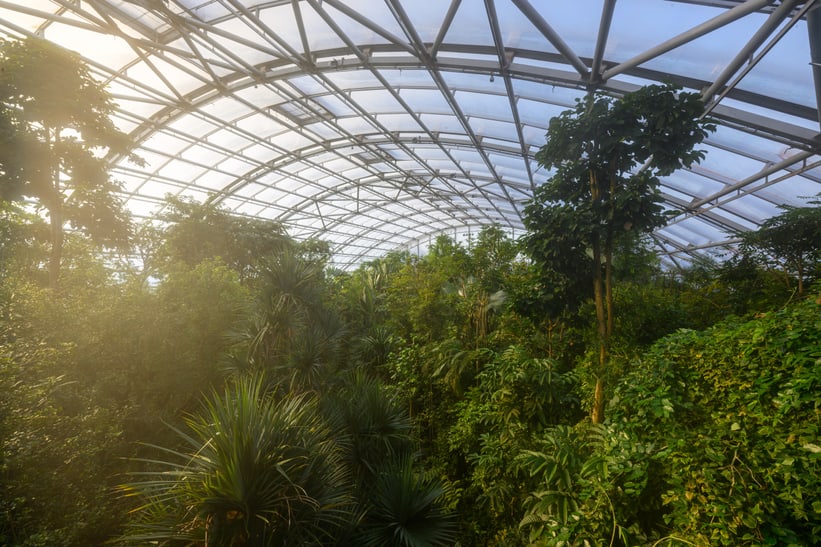 Masoala Regenwald im Zoo Zürich.